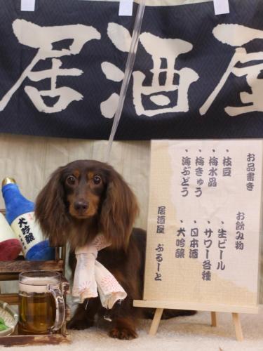 20240611ルナちゃん